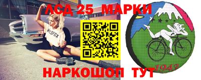 стаф Аргун
