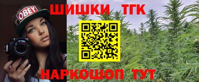 стаф Аргун