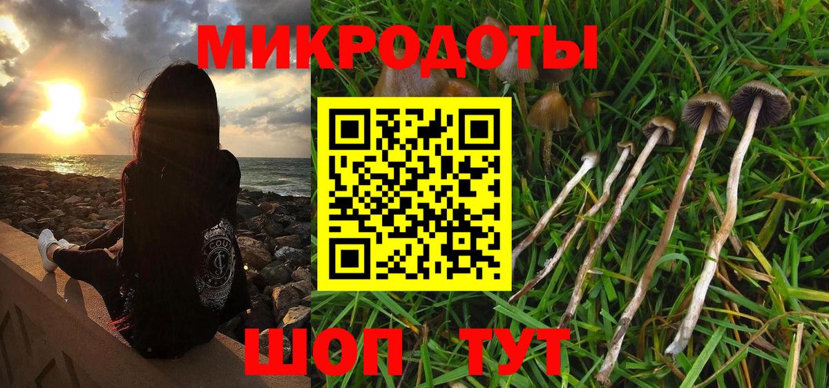 Псилоцибиновые грибы Magic Shrooms  Галлюциногенные грибы Magic Shrooms  Белогорск  Вход с VPN 